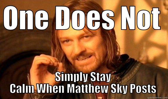 ONE DOES NOT  SIMPLY STAY CALM WHEN MATTHEW SKY POSTS One Does Not Simply