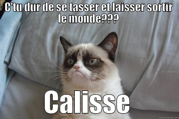 C'TU DUR DE SE TASSER ET LAISSER SORTIR LE MONDE??? CALISSE Grumpy Cat