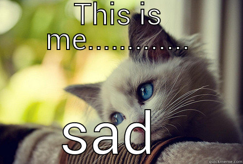 Sad kitty - THIS IS ME............. SAD  First World Problems Cat