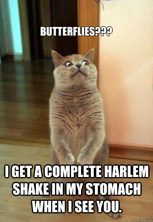 Butterflies??? I get a complete Harlem Shake in my stomach when I see you. - Butterflies??? I get a complete Harlem Shake in my stomach when I see you.  Horrorcat