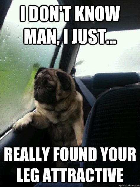 I don't know man, I just... really found your leg attractive  Introspective Pug