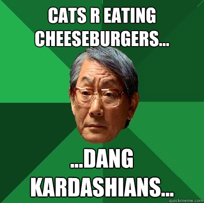 cats r eating cheeseburgers... ...dang kardashians...  High Expectations Asian Father