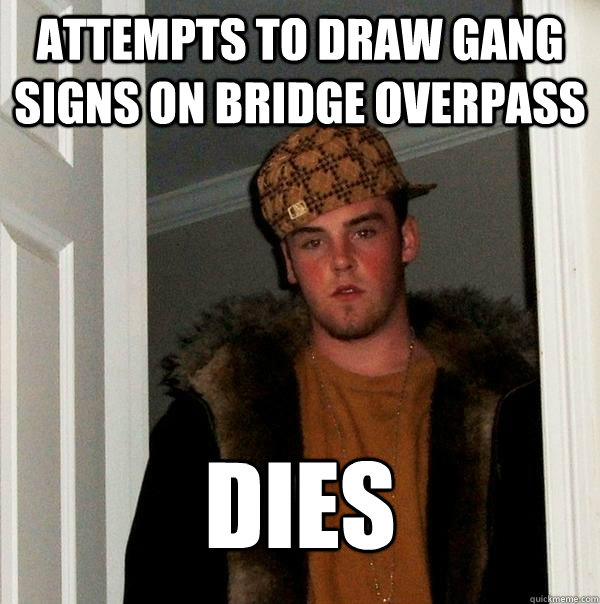 attempts to draw gang signs on bridge overpass dies  Scumbag Steve