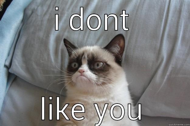 I DONT LIKE YOU Grumpy Cat