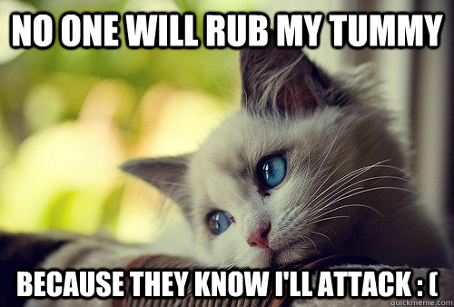 No one will rub my tummy because they know I'll attack : (  First World Problems Cat