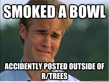 smoked a bowl accidently posted outside of r/trees  1990s Problems