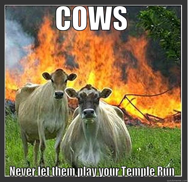 COWS NEVER LET THEM PLAY YOUR TEMPLE RUN  Evil cows