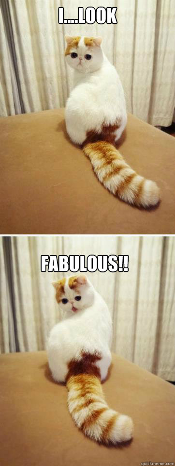 I....Look Fabulous!! - I....Look Fabulous!!  Misc