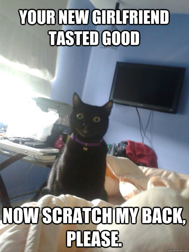 Your new girlfriend tasted good Now scratch my back, please.  overly attached cat