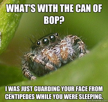 What's with the can of Bop? I was just guarding your face from centipedes while you were sleeping.  Misunderstood Spider