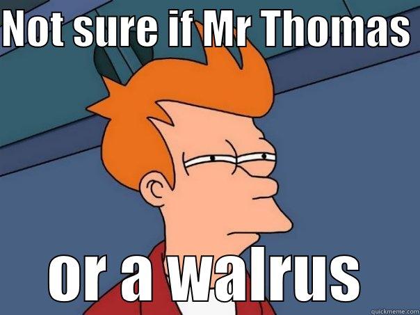 NOT SURE IF MR THOMAS  OR A WALRUS Futurama Fry