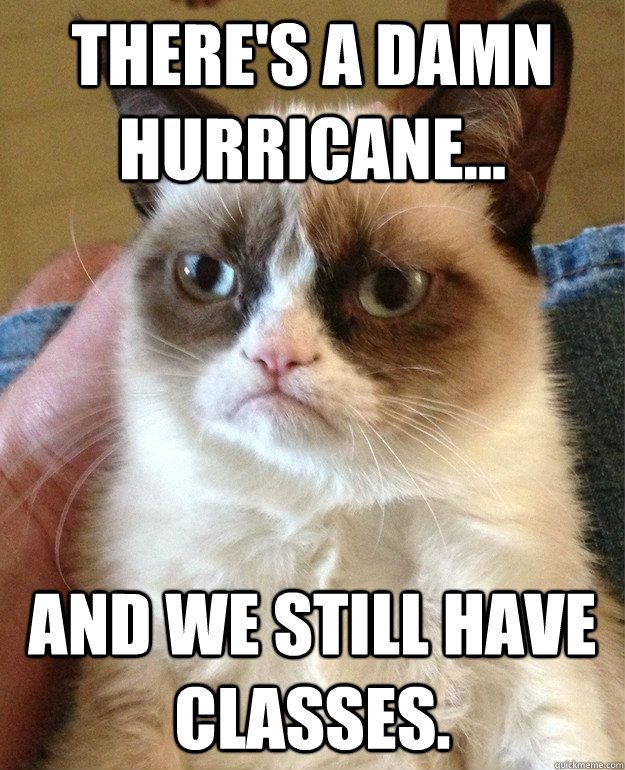 There's a damn hurricane... And we still have classes. - There's a damn hurricane... And we still have classes.  Grumpy Cat