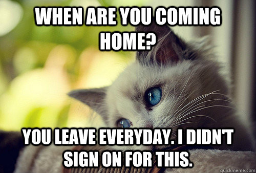 when are you coming home? you leave everyday. I didn't sign on for this. - when are you coming home? you leave everyday. I didn't sign on for this.  First World Problems Cat