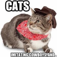 Cats Imitating Cowboys, and very well put on colered napkins everywhere... - Cats Imitating Cowboys, and very well put on colered napkins everywhere...  Cowboy Cats