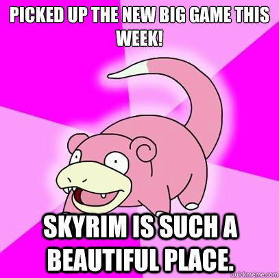 Picked up the new big game this week! Skyrim is such a beautiful place.  Slowpoke