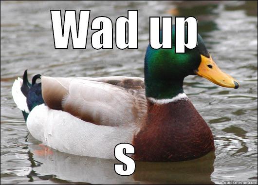 WAD UP S Actual Advice Mallard