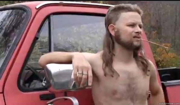    Almost Politically Correct Redneck