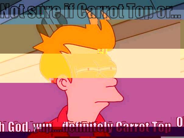 NOT SURE IF CARROT TOP OR... OH GOD, YUP....DEFINITELY CARROT TOP Futurama Fry