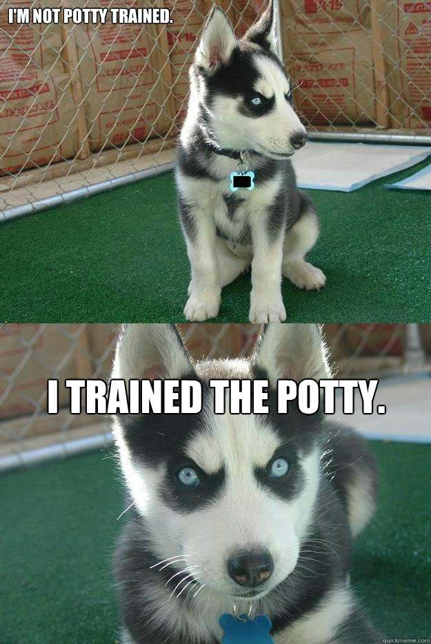 i'm not potty trained. i trained the potty. - i'm not potty trained. i trained the potty.  Insanity puppy