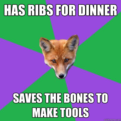 Has ribs for dinner saves the bones to make tools - Has ribs for dinner saves the bones to make tools  Anthropology Major Fox