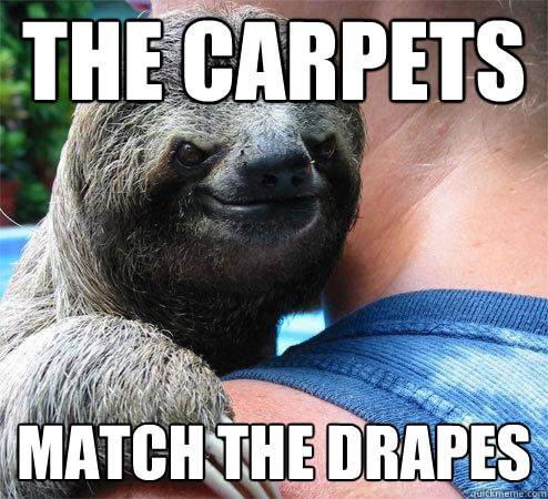 the carpets match the drapes - the carpets match the drapes  Suspiciously Evil Sloth