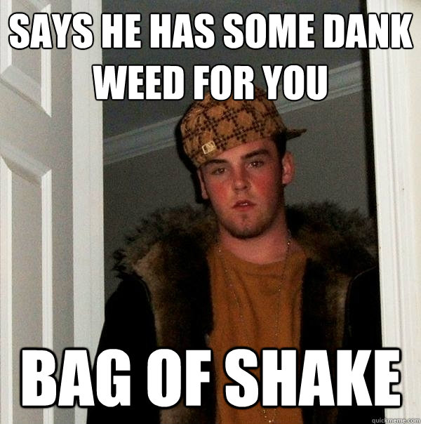 Says He has some dank weed for you bag of shake  Scumbag Steve