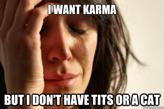 I want Karma But I don't have Tits or a cat  First World Problems