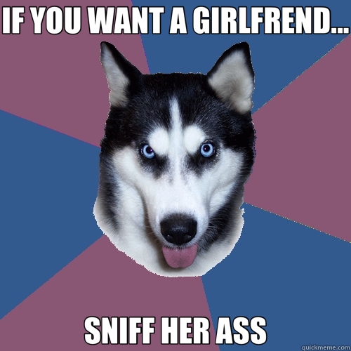 IF YOU WANT A GIRLFREND... SNIFF HER ASS  Creeper Canine