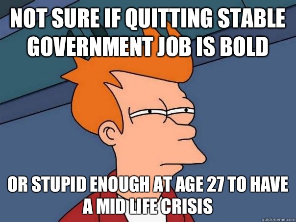 Not sure if quitting stable government job is bold Or stupid enough at age 27 to have a mid life crisis  Futurama Fry