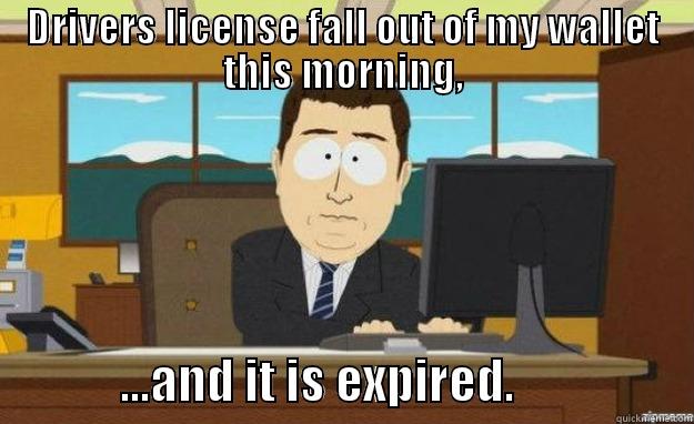 DRIVERS LICENSE FALL OUT OF MY WALLET THIS MORNING,              ...AND IT IS EXPIRED.                  aaaand its gone