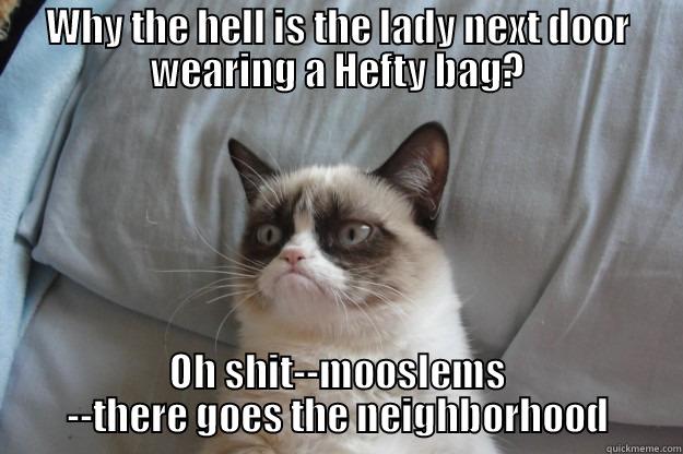 WHY THE HELL IS THE LADY NEXT DOOR WEARING A HEFTY BAG? OH SHIT--MOOSLEMS --THERE GOES THE NEIGHBORHOOD Grumpy Cat