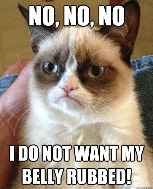 No, No, No I do not want my belly rubbed!  Grumpy Cat