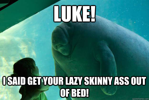 LUKE! i said get your lazy skinny ass out of bed!  Overlord Manatee