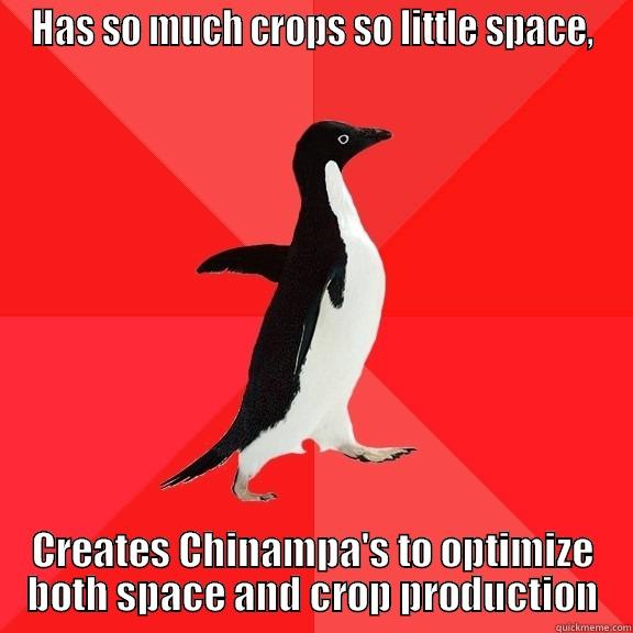 HAS SO MUCH CROPS SO LITTLE SPACE, CREATES CHINAMPA'S TO OPTIMIZE BOTH SPACE AND CROP PRODUCTION Socially Awesome Penguin