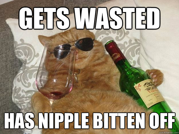 Gets wasted has nipple bitten off  Party Cat