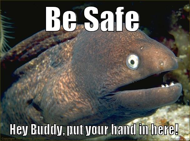 BE SAFE HEY BUDDY, PUT YOUR HAND IN HERE! Bad Joke Eel