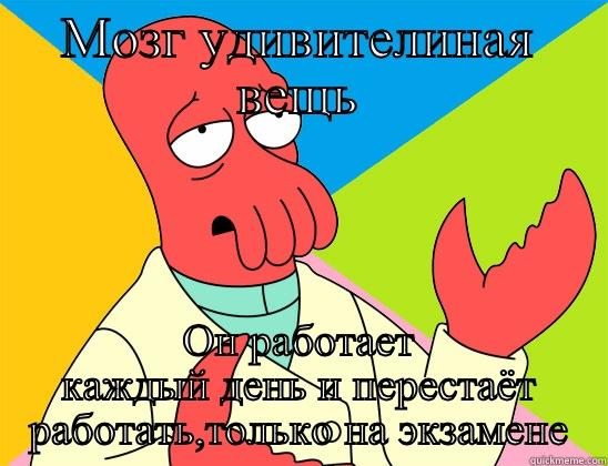 МОЗГ УДИВИТЕЛИНАЯ ВЕЩЬ ОН РАБОТАЕТ КАЖДЫЙ ДЕНЬ И ПЕРЕСТАЁТ РАБОТАТЬ,ТОЛЬКО НА ЭКЗАМЕНЕ Futurama Zoidberg 