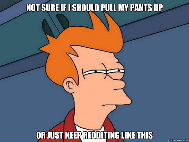 not sure if i should pull my pants up or just keep redditing like this  Futurama Fry