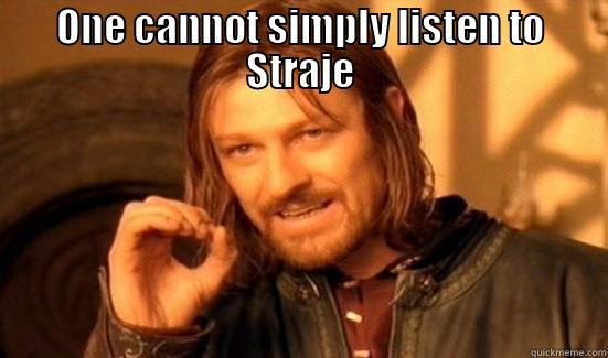 ONE CANNOT SIMPLY LISTEN TO STRAJE  Boromir