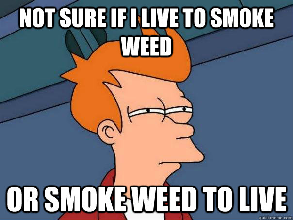 Not sure if i live to smoke weed or smoke weed to live  Futurama Fry