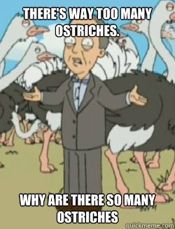 There's way too many ostriches. Why are there so many ostriches - There's way too many ostriches. Why are there so many ostriches  Ostriches