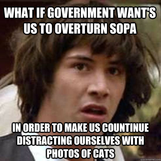 What if government want's us to overturn sopa in order to make us countinue distracting ourselves with photos of cats - What if government want's us to overturn sopa in order to make us countinue distracting ourselves with photos of cats  conspiracy keanu