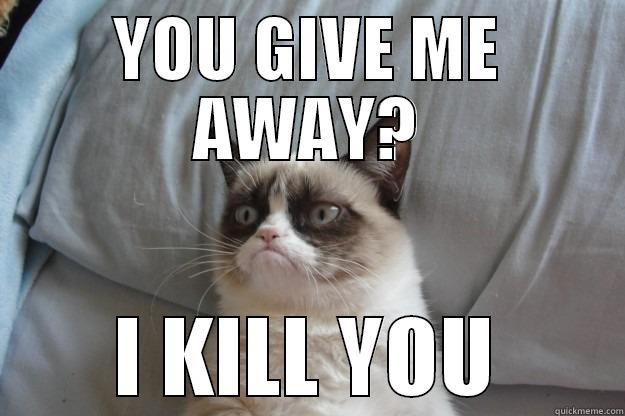 YOU GIVE ME AWAY? I KILL YOU Grumpy Cat