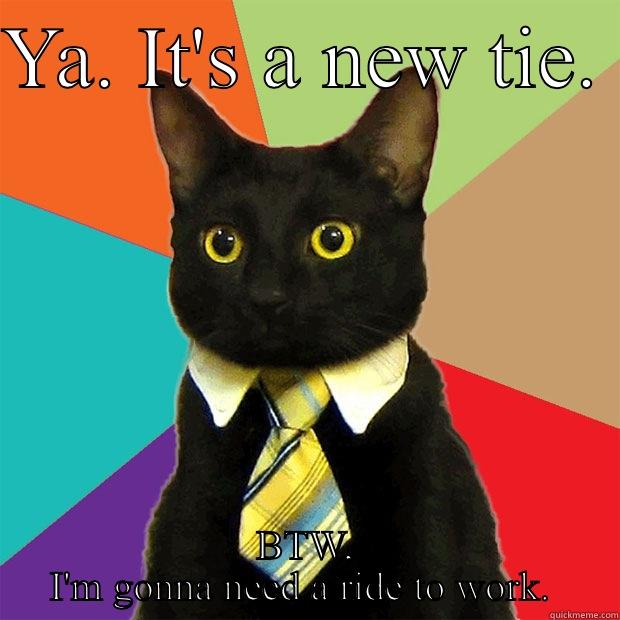 YA. IT'S A NEW TIE.  BTW, I'M GONNA NEED A RIDE TO WORK.  Business Cat