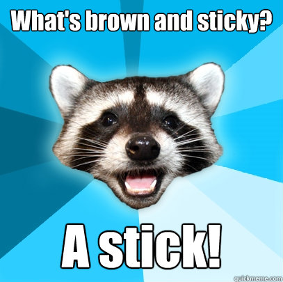 What's brown and sticky? A stick!  Lame Pun Coon