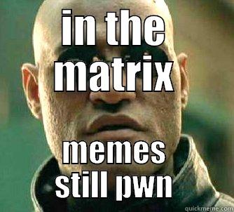 IN THE MATRIX MEMES STILL PWN Matrix Morpheus