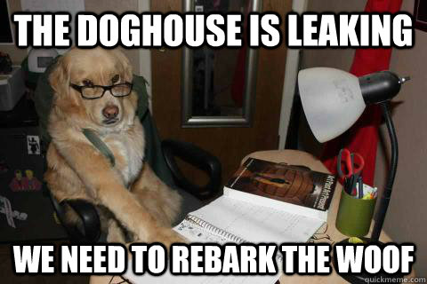 The doghouse is leaking We need to rebark the woof  Financial Advice Dog