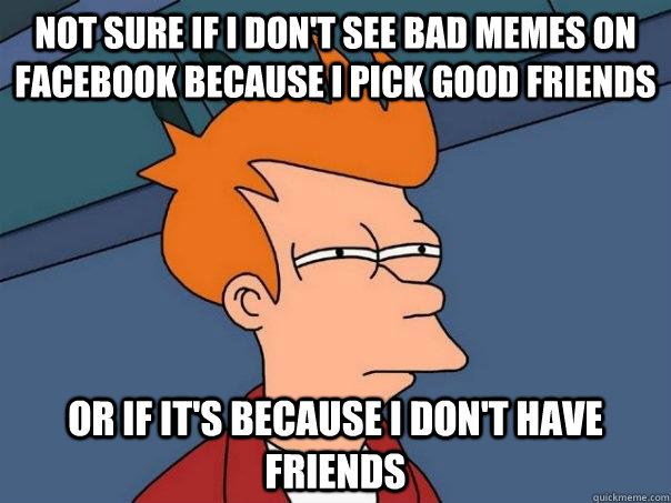 Not sure if I don't see bad memes on Facebook because I pick good friends or if it's because I don't have friends  Futurama Fry