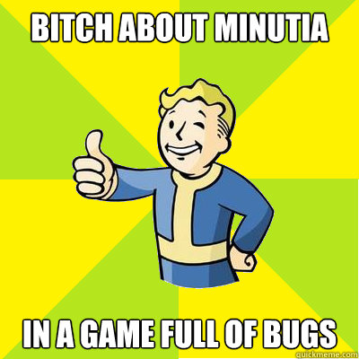 Bitch about minutia In a game full of bugs  Fallout new vegas