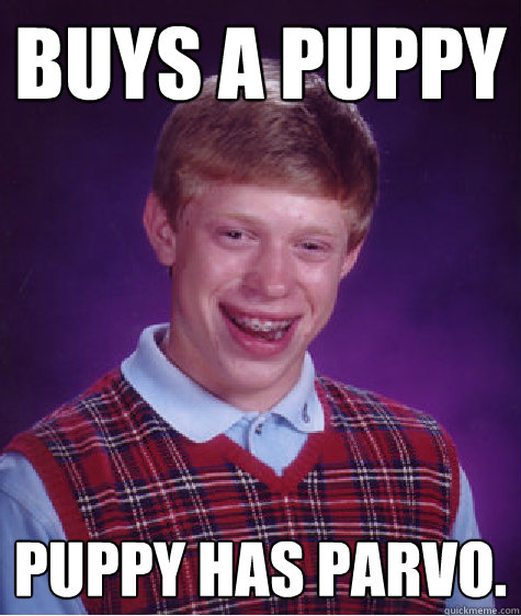 Buys a puppy Puppy has Parvo.  Bad Luck Brian